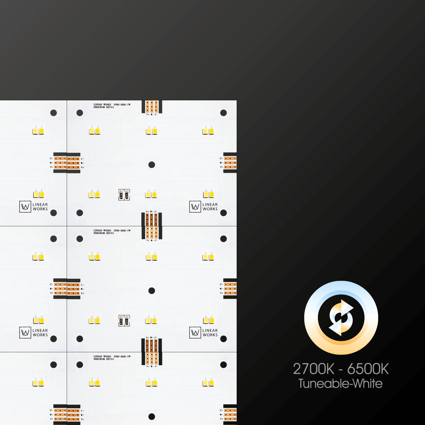 FBM100L75 TW